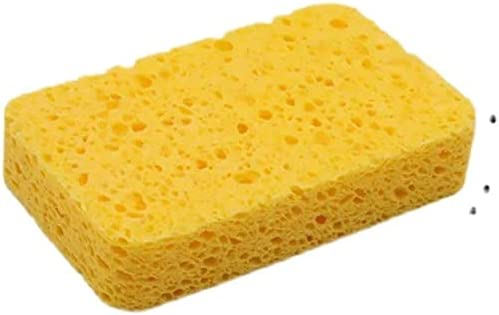 Sponge
