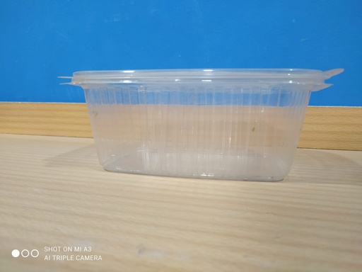 plastic box 17cm * 12 *3 